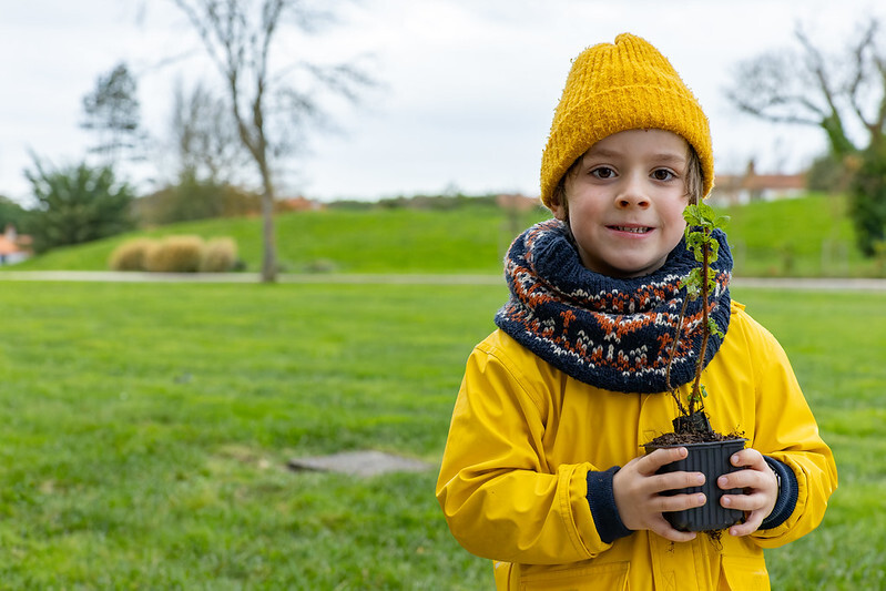 54159320290_37b056b4d2_c