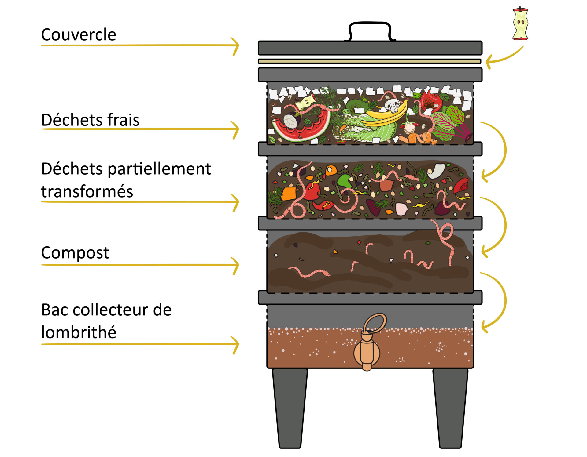 lombricomposteur_schema_bd